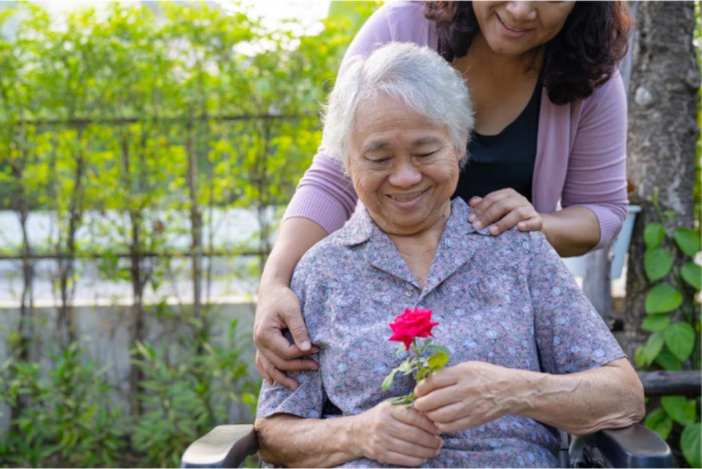 Elderly woman and carer outdoors holding red rose